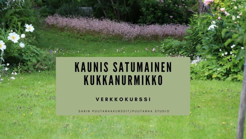 Kaunis satumainen kukkanurmikko