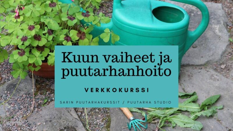 Kuun vaiheet ja puutarhanhoito