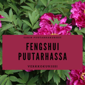 Fengshui puutarhassa