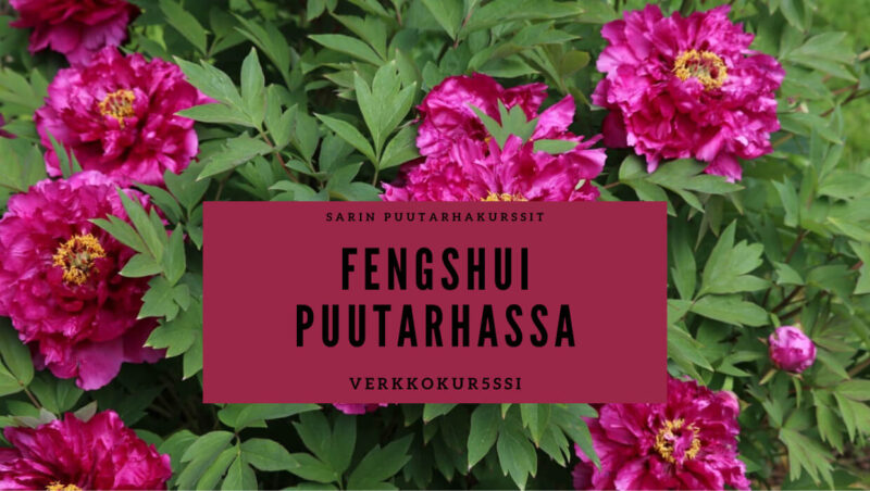 Fengshui puutarhassa