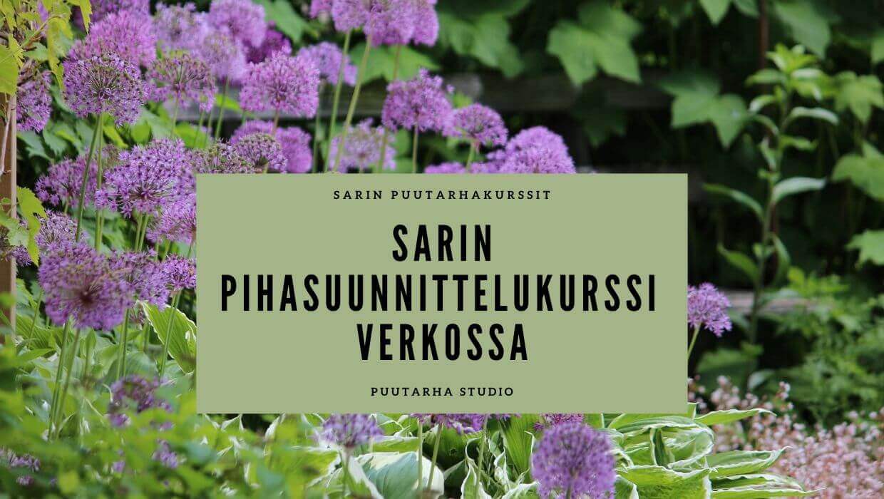Sarin pihasuunnittelukurssi